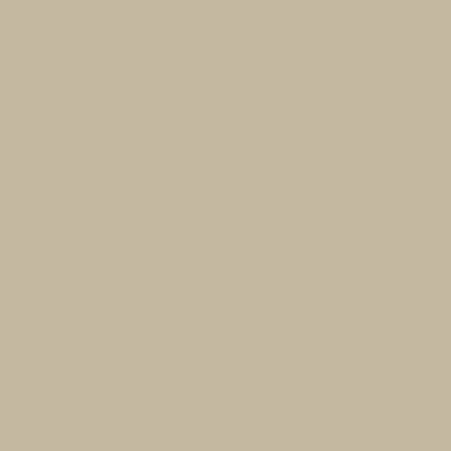 TEC AccuColor - Siliconized Sanded Acrylic Caulk - Fast-Drying and Paintable Sealant Designed to Match other TEC Grout Colors - 10.5 OZ - 903 Birch Color