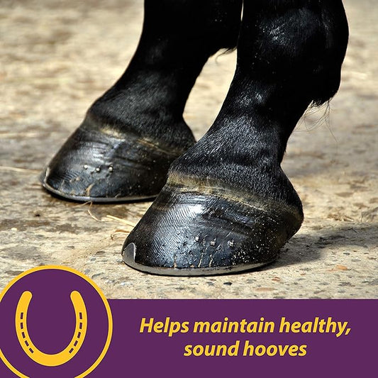 Horse Health Vita Biotin Crumbles Horse Hoof Supplement, Biotin Supplement Supports Healthy Hoof Growth, Strong Walls, Prevents Cracks & Chipping, 3 lbs, 48-Day Supply