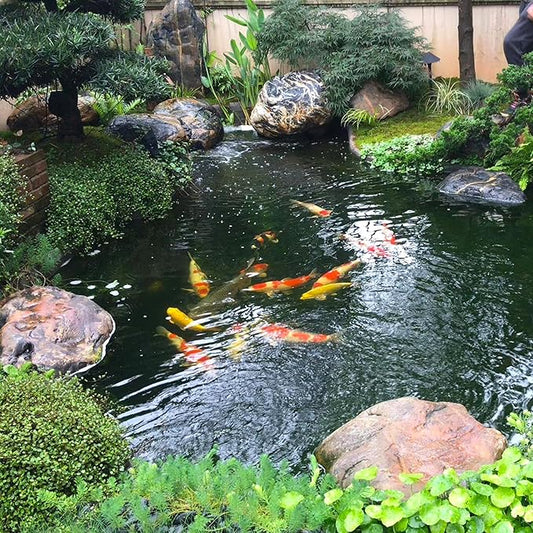 Adroiteet 20 x 25 FT Pond Liner, 20 Mil Fish Pond HDPE Liner, Pond Liners for Outdoor Ponds, Koi Ponds, Garden Fountain, Waterfall