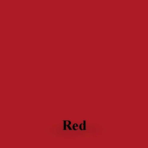 Leather Max Large Project 8 Ounce Jar Refinish for Your Furniture, Jacket, Sofa or Car Seat, Super Easy Instructions, Restore Any Material, Bonded, Pleather, Genuine (Red)