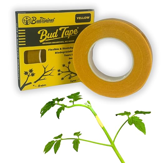 BudTape for Grafting and Branch Repair, 90ft (27m) | Self-Adhering, Flexible, Water-Resistant Tape For Grafting | Use For Broken Stems And Weak Branch Repair