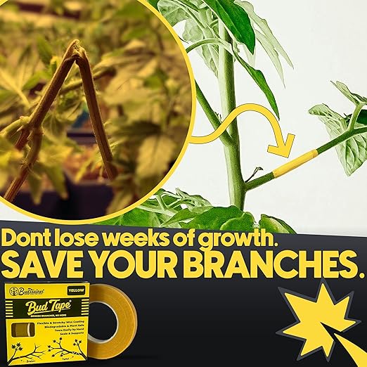 BudTape for Grafting and Branch Repair, 90ft (27m) | Self-Adhering, Flexible, Water-Resistant Tape For Grafting | Use For Broken Stems And Weak Branch Repair